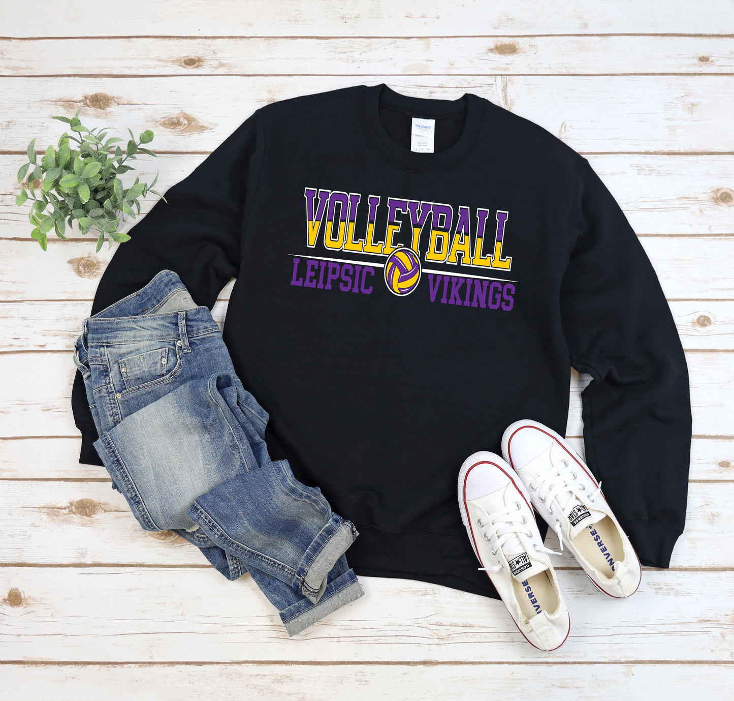 Volley the Viking Way